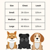 Kuber Industries Reflective Dog Harness with Adjustable Leash|Breathable Polyester Mesh Fabric with Top carry Handle|Small Size|HAT-818|Comfortable No-Pull Grip|Quick Release Buckles|Blue (Pack of 6)